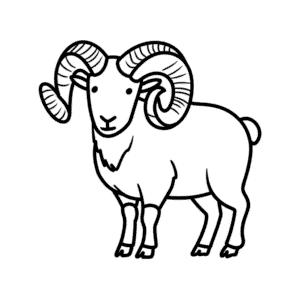 Bighorn Koyunu Kolay Çizimi