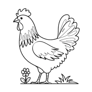 Güzel Tavuk Kolay Çizimi