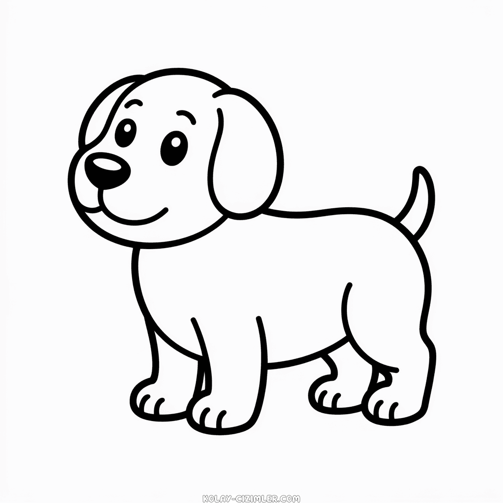 Temel Köpek Eğitimi Kolay Çizimi
