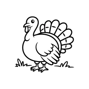 Bebek için Hindistan Cevizi Kolay Çizimi
