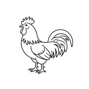 Horoz hayvanı Kolay Çizimi