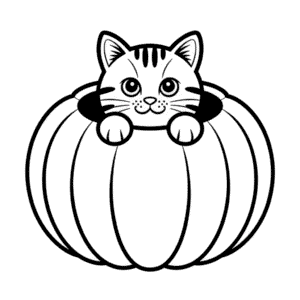 Kabakta Bir Kedi Kolay Çizimi