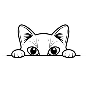Kedi Gözleri Kolay Çizimi